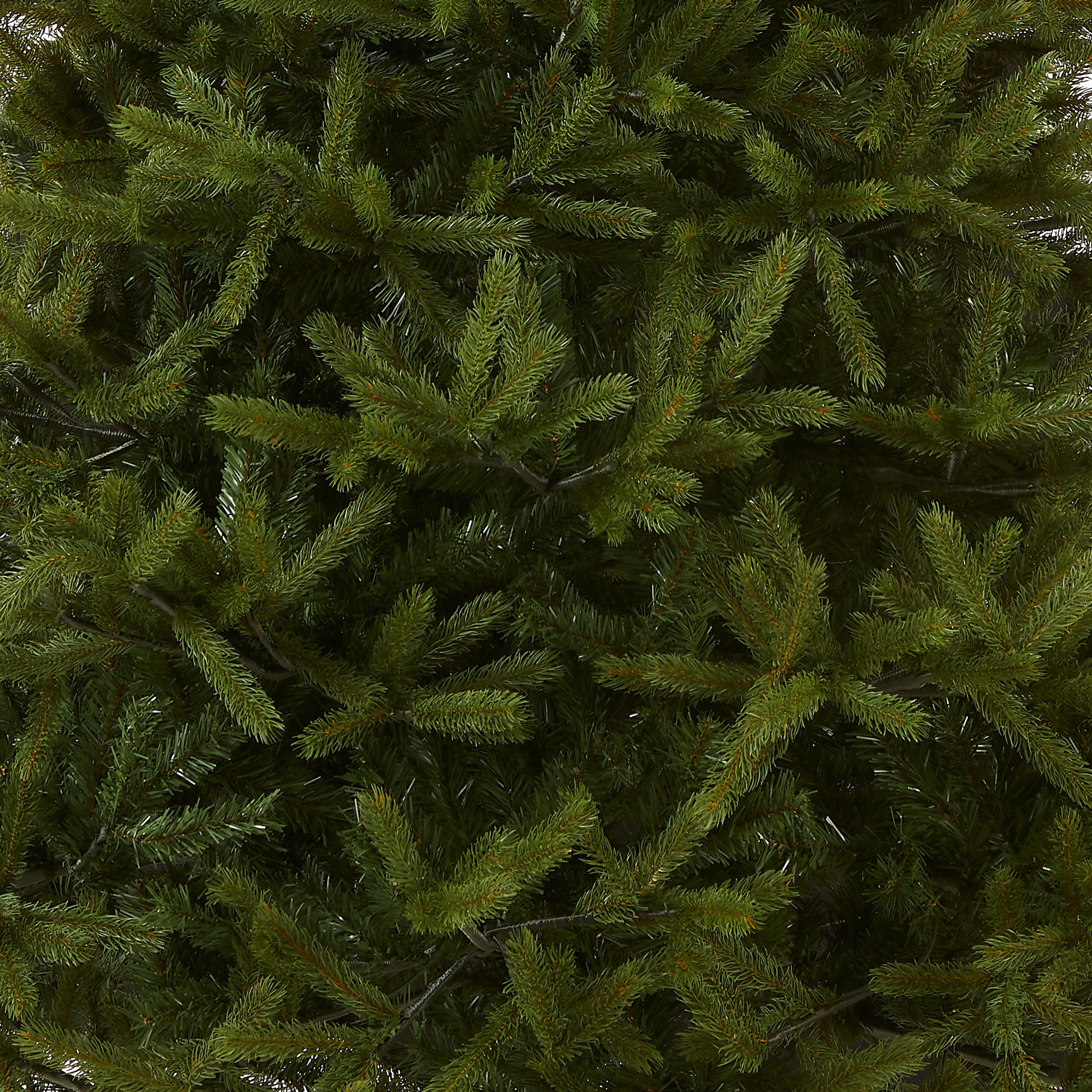 7.5 ft. Norway Fir Tree