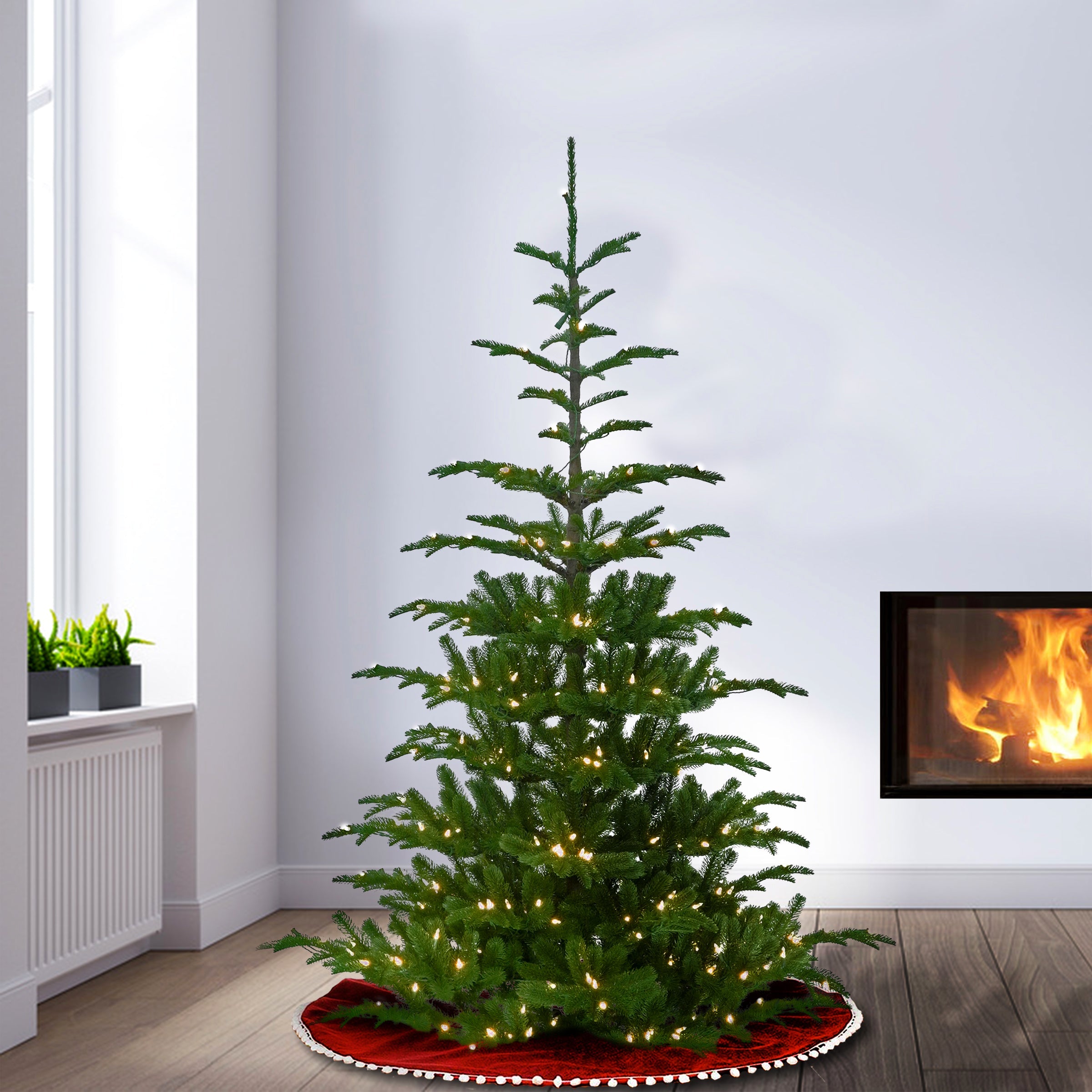 6.5 ft. Pre-Lit Norwegian Spruce Tree with Clear Lights