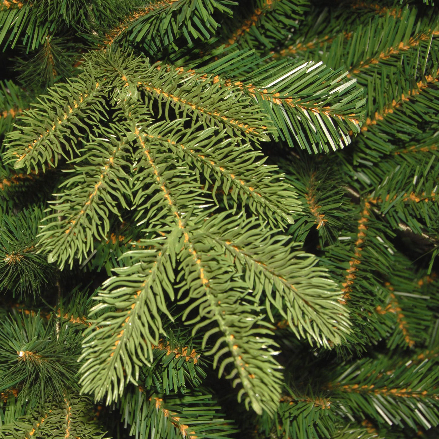 6.5 ft. Pre-Lit Norwegian Spruce Tree with Clear Lights