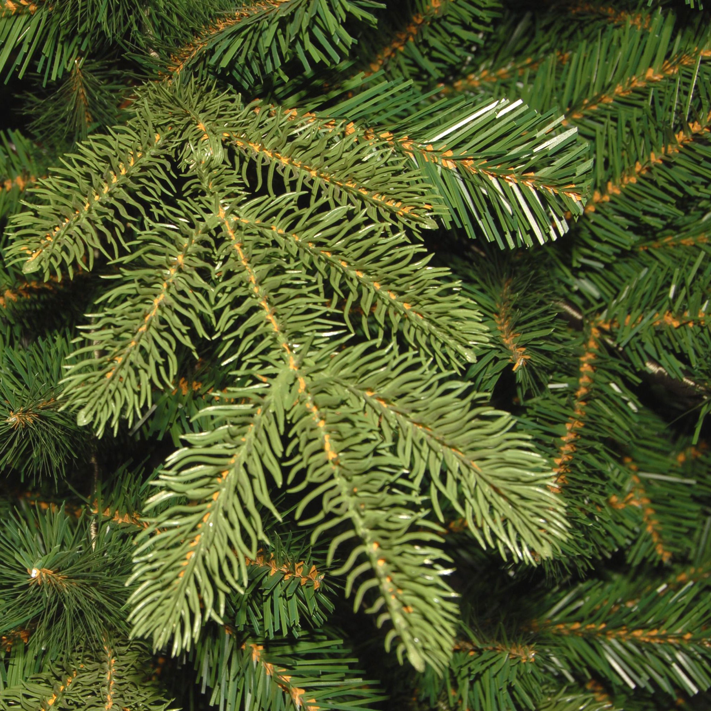 6.5 ft. Pre-Lit Norwegian Spruce Tree with Clear Lights
