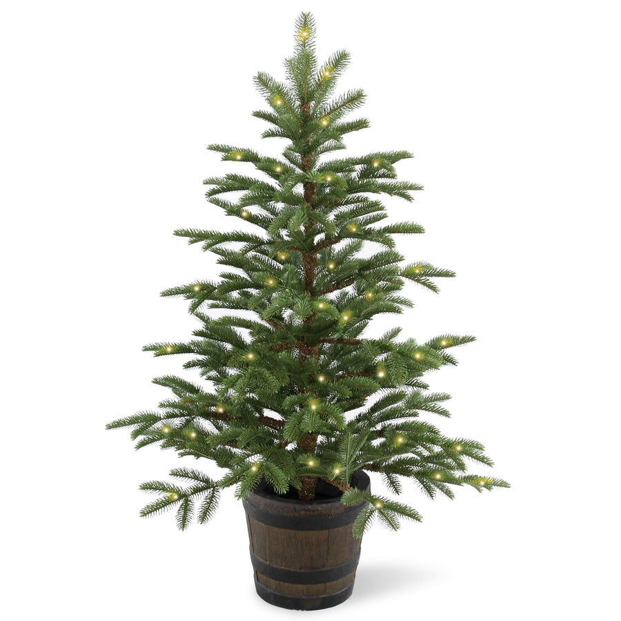 4 ft. Norwegian Spruce Entrance Tree with Clear Lights