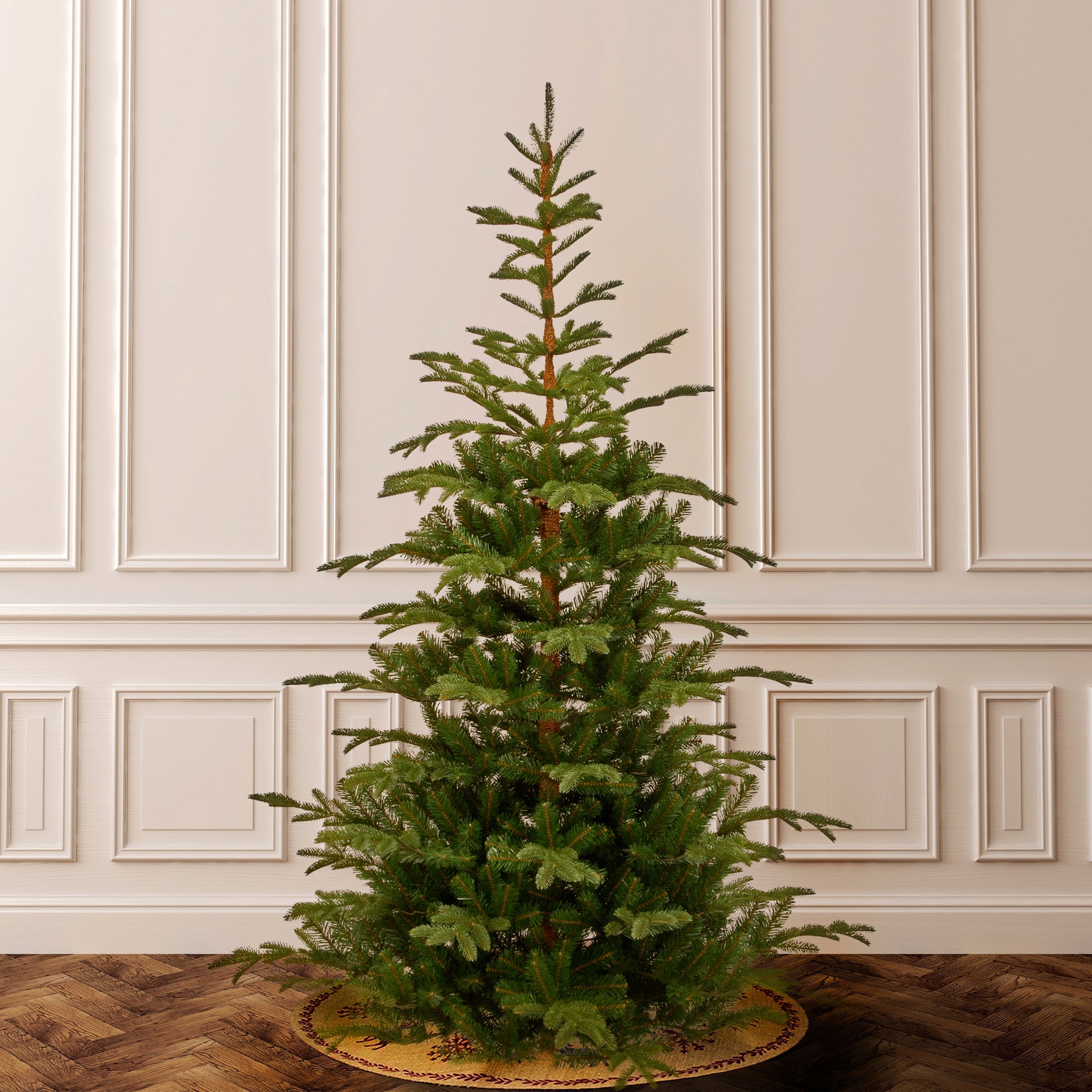 7.5 ft. Norwegian Spruce Tree