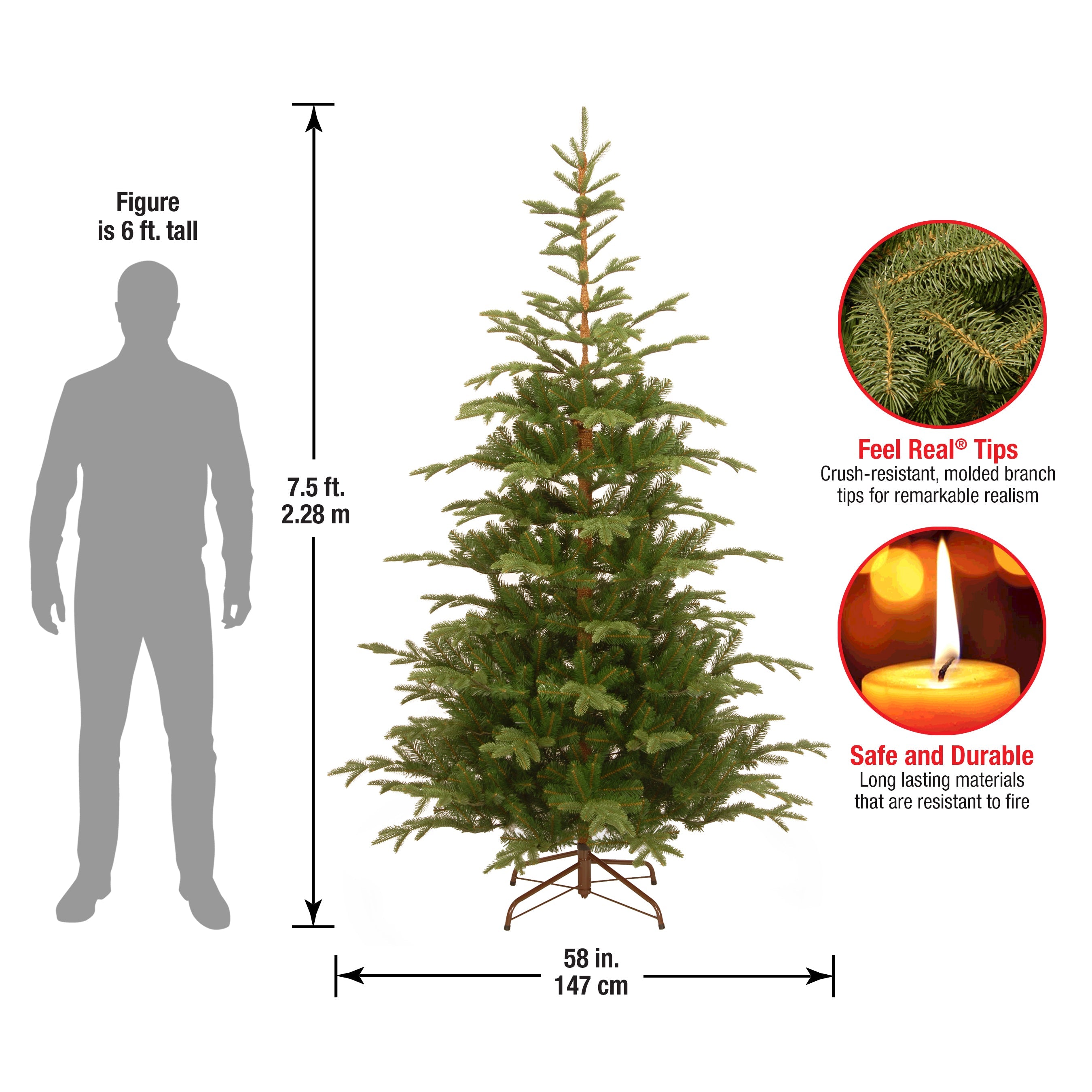 7.5 ft. Norwegian Spruce Tree