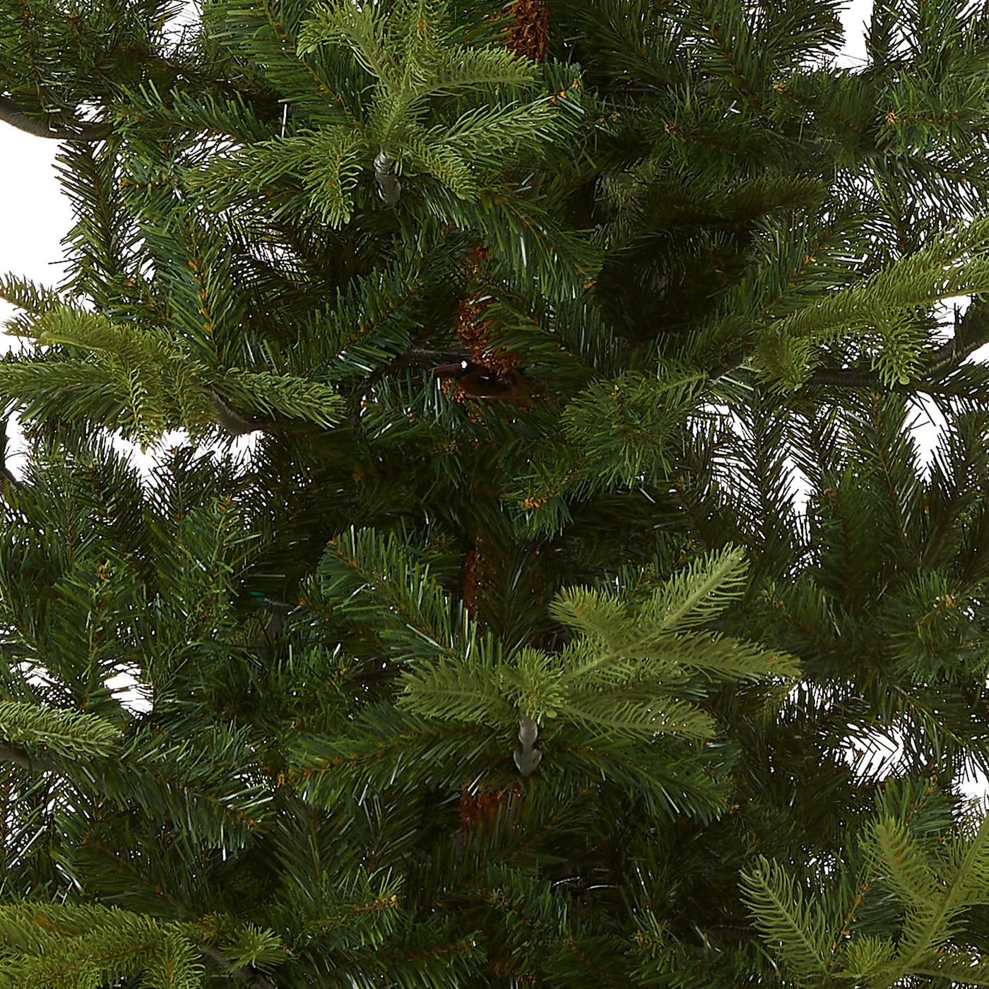 7.5 ft. Norwegian Spruce Tree
