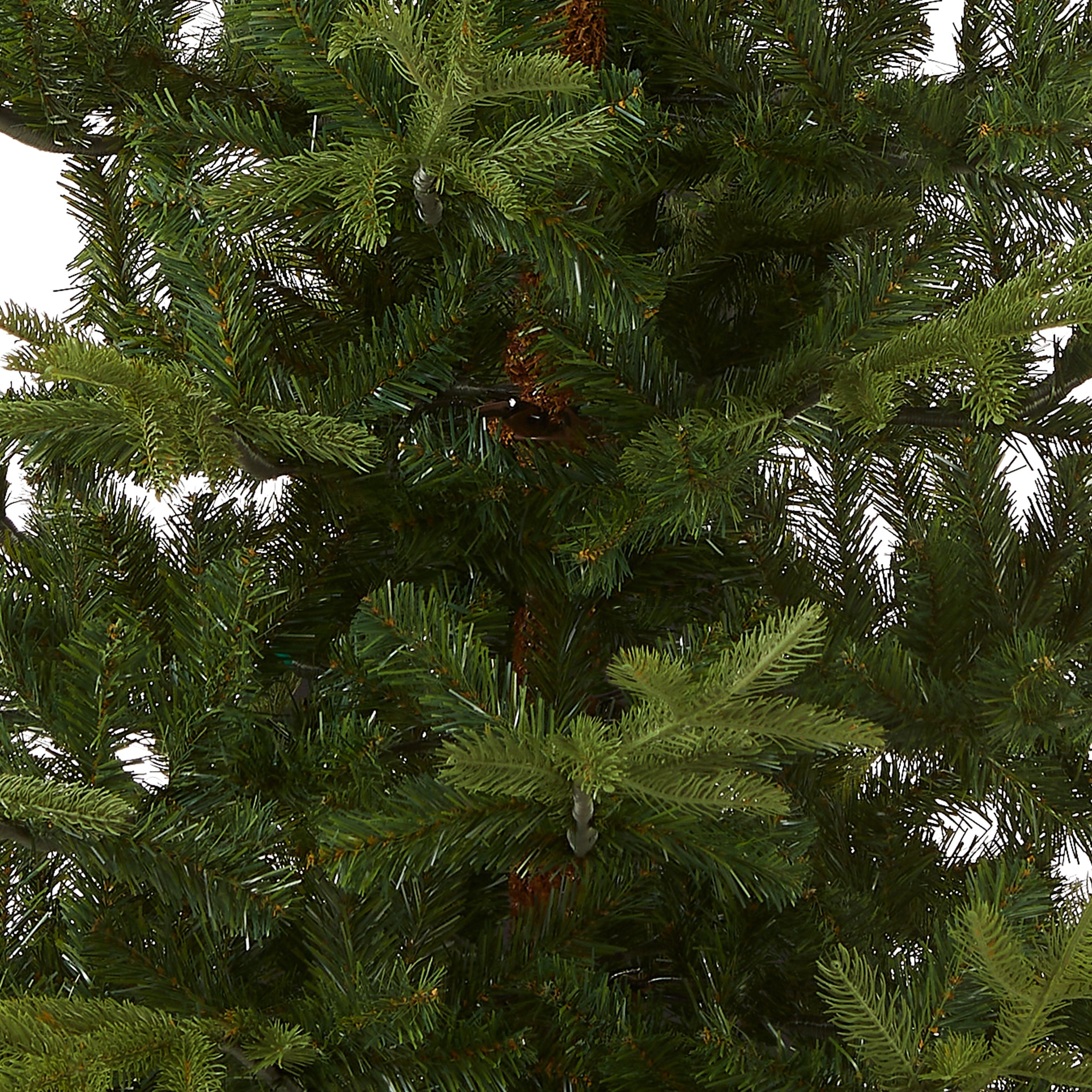 7.5 ft. Norwegian Spruce Tree