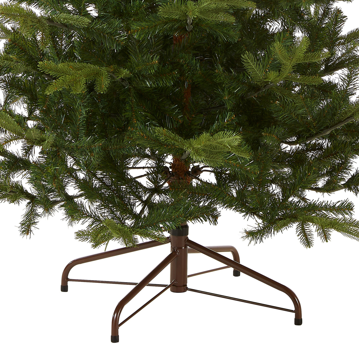 7.5 ft. Norwegian Spruce Tree