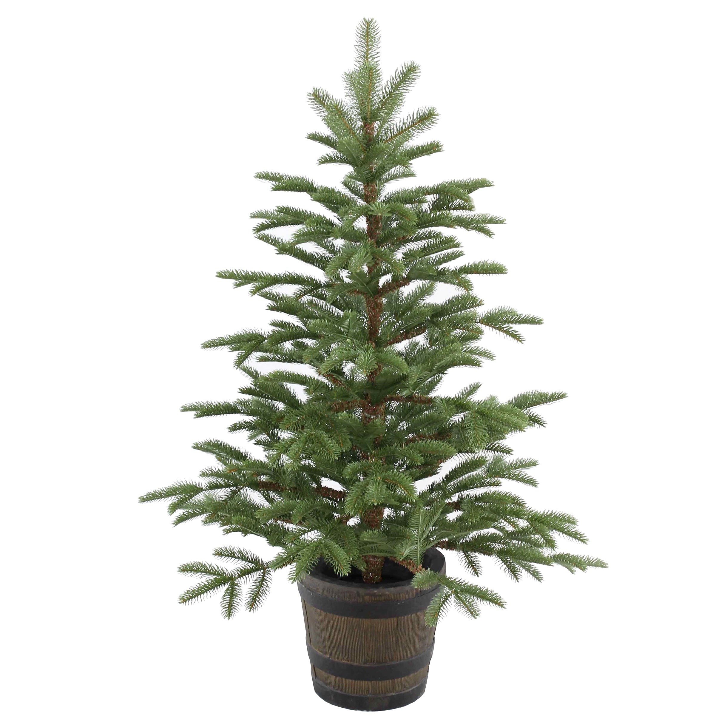 4 ft. Norwegian Spruce Tree