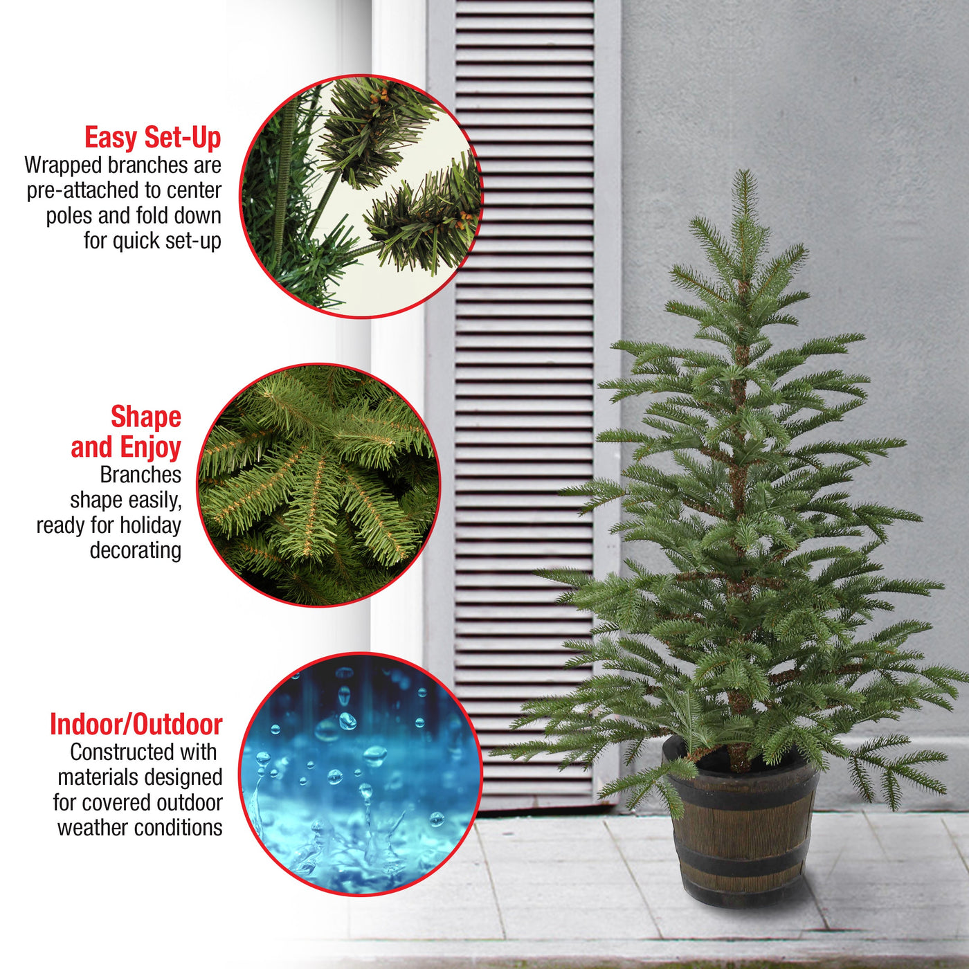 4 ft. Norwegian Spruce Tree