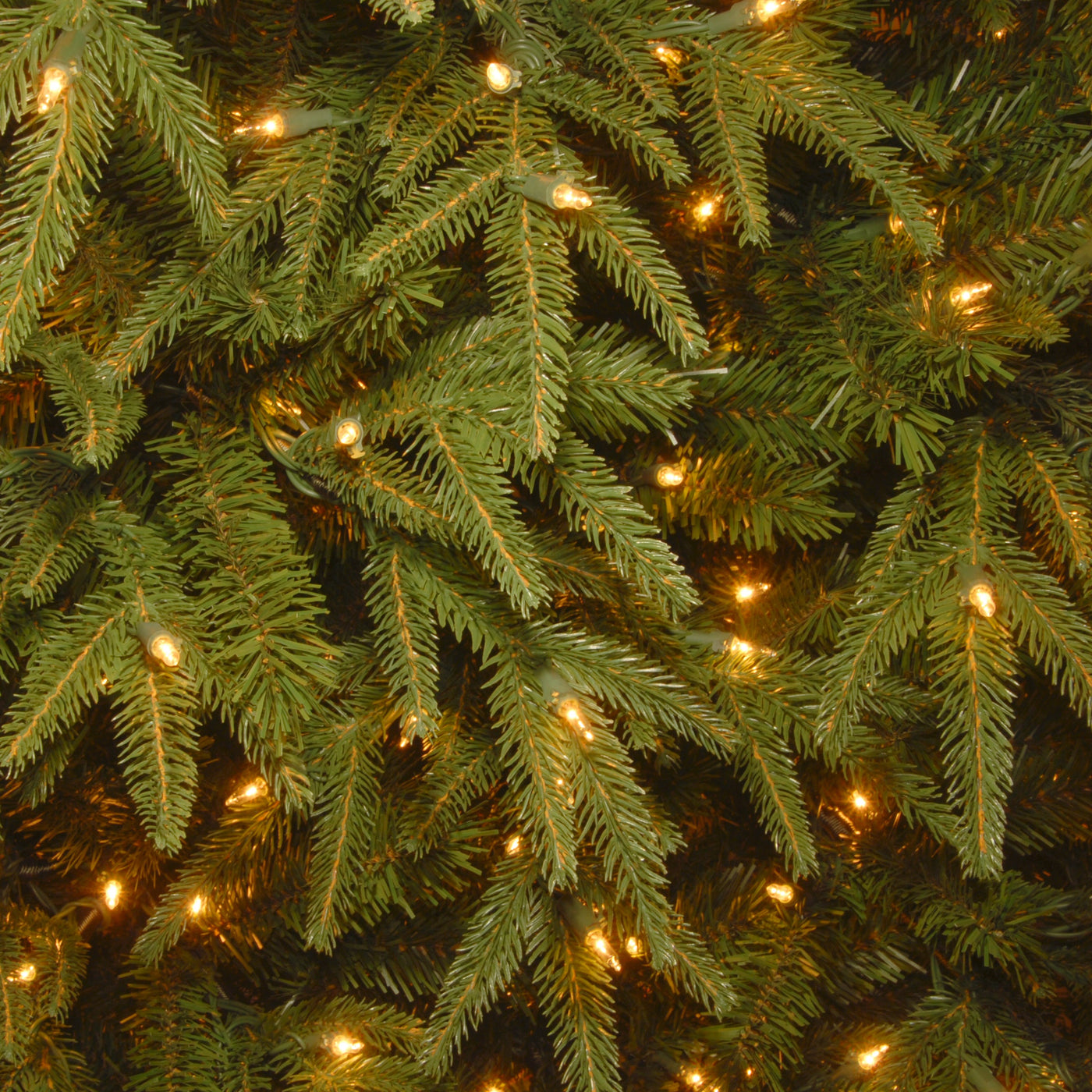 6.5 ft. Pre-Lit Northern Fraser Fir Tree with Clear Lights