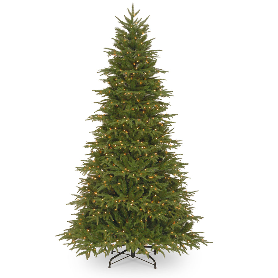 9 ft. Pre-Lit Northern Frasier Fir Tree with Clear Lights
