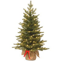 3 ft. Pre-Lit Nordic Spruce Tree with LED Lights