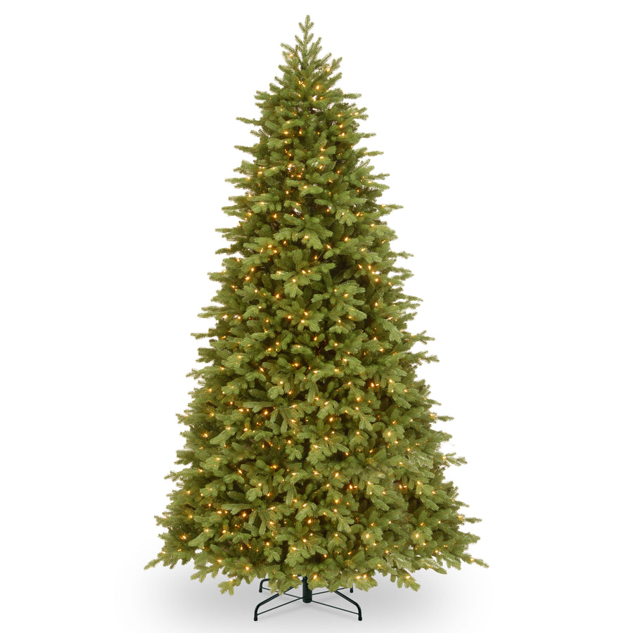 9ft. Pre-Lit Princeton Fraser Fir with PowerConnect Dual Color LED Lights