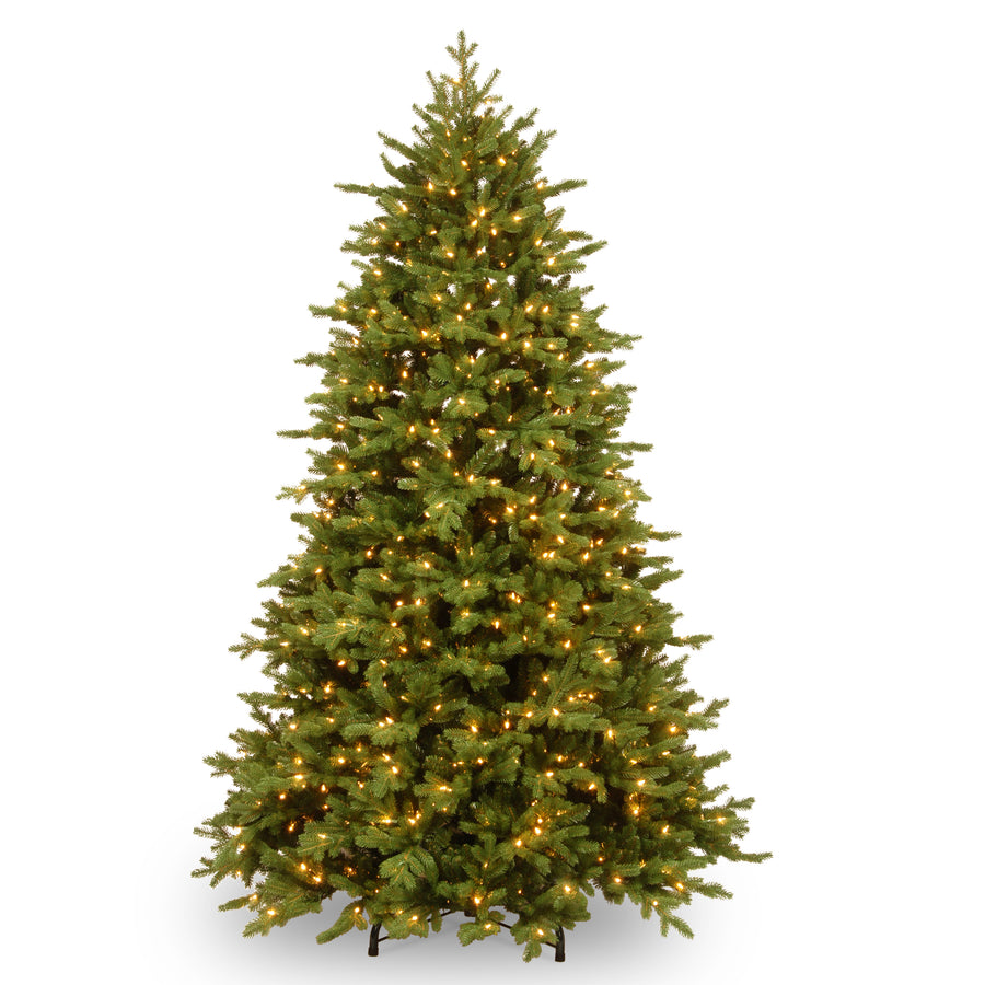 7.5 ft. Pre-Lit Princeton Deluxe Fraser Fir Tree with PowerConnect Dual Color LED Lights