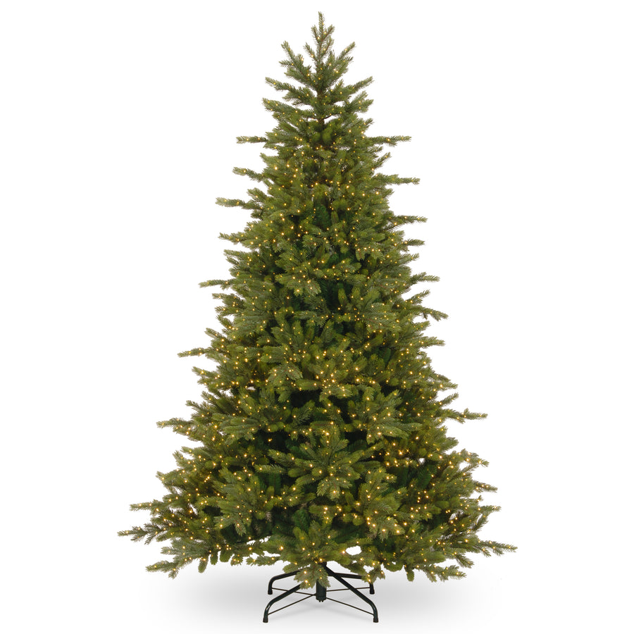 7.5 ft. Pre-Lit Rocky Mountain Spruce Tree with  Infinity Lights