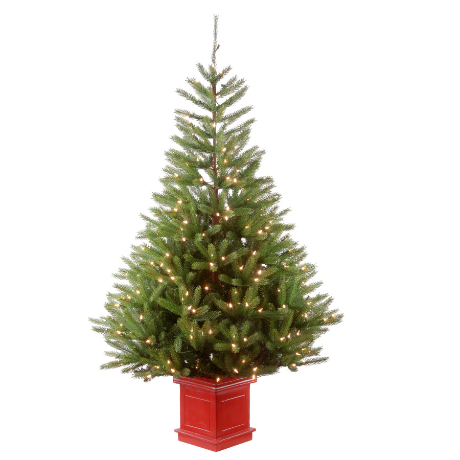 6 ft. Pre-Lit Topeka Spruce Tree with Clear Lights