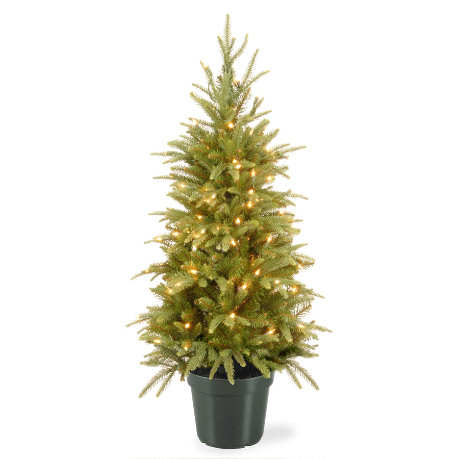 4 ft. Pre-Lit Weeping Spruce Tree with Clear Lights