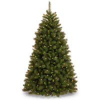 7.5 ft. Pre-Lit Rocky Ridge Pine Medium Tree with Clear Lights