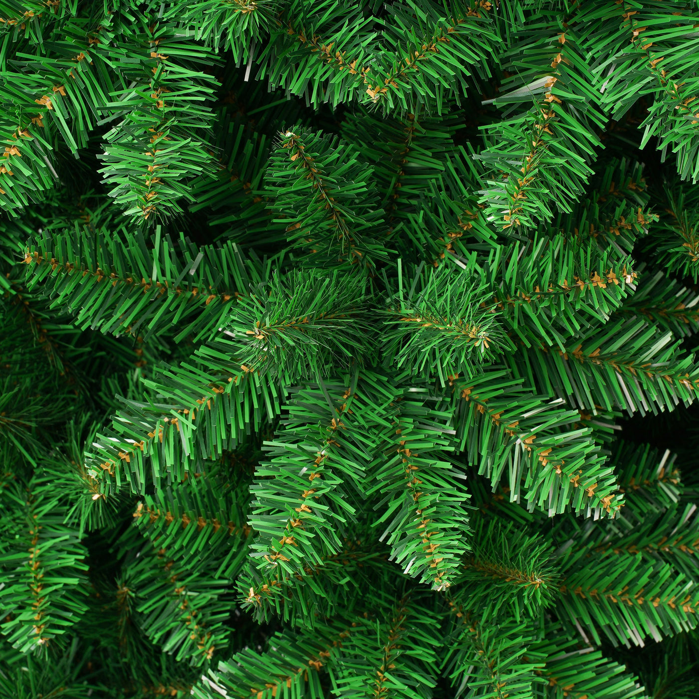 6 ft. Rowan Pencil Slim Tree