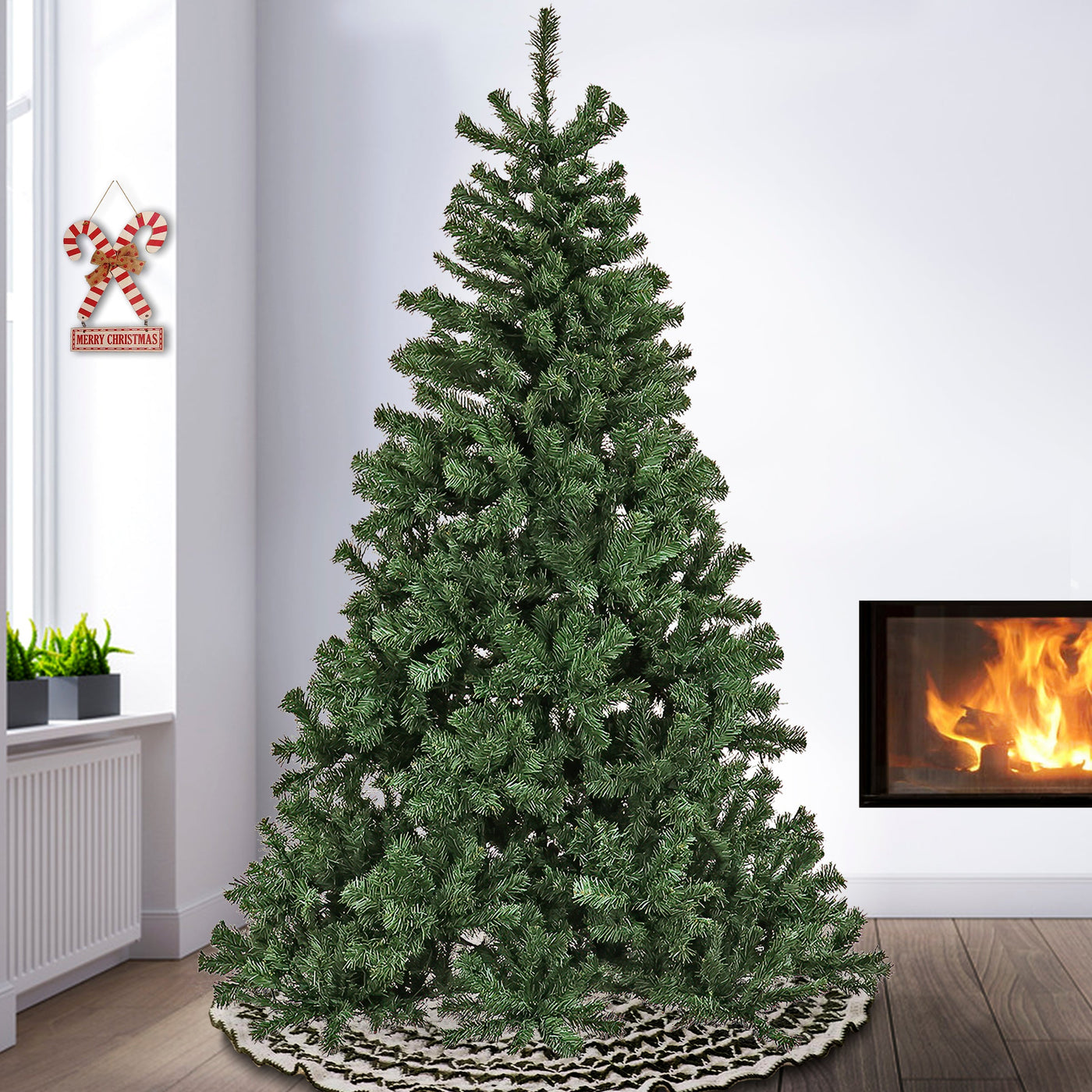7.5 ft. Sagamore Tree