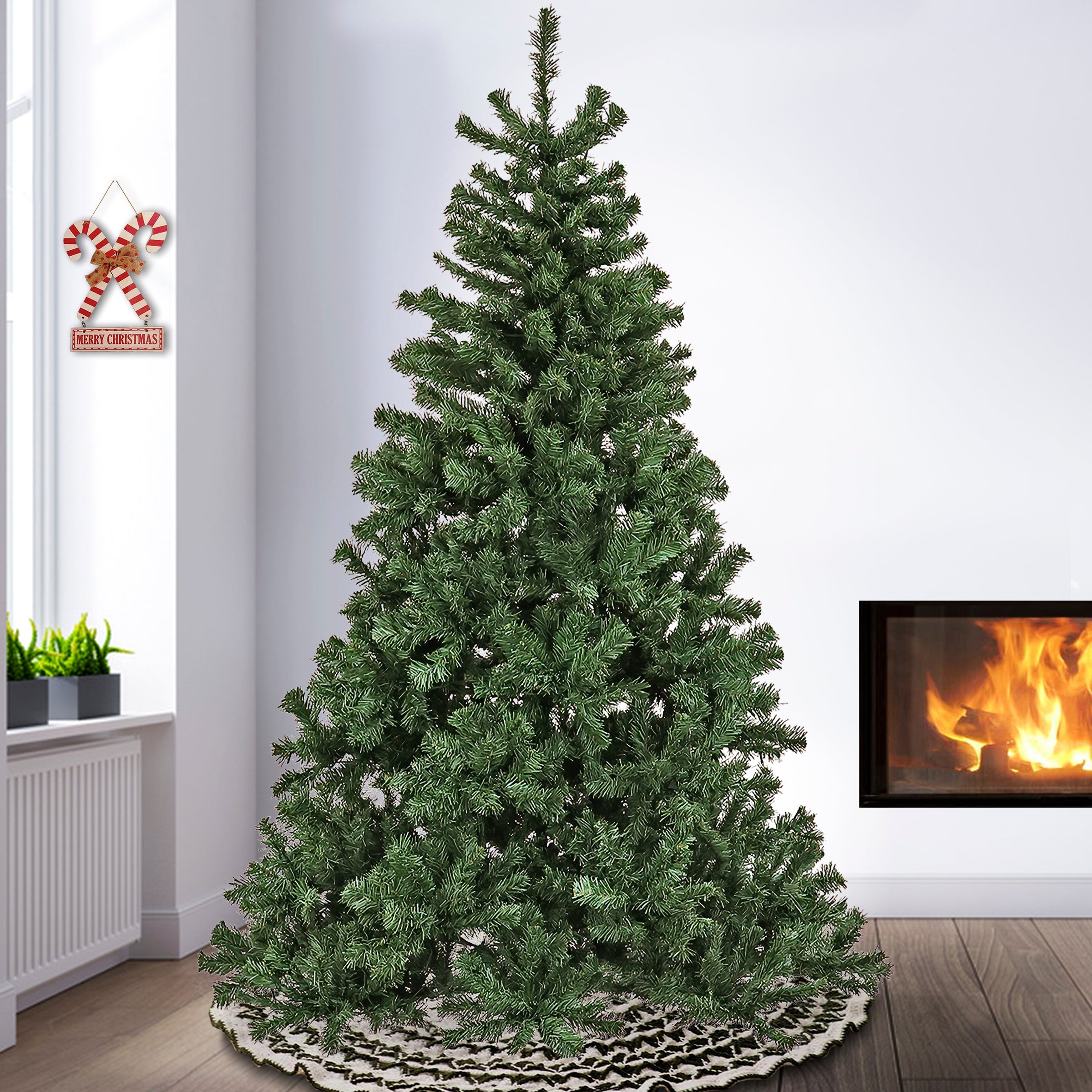7.5 ft. Sagamore Tree