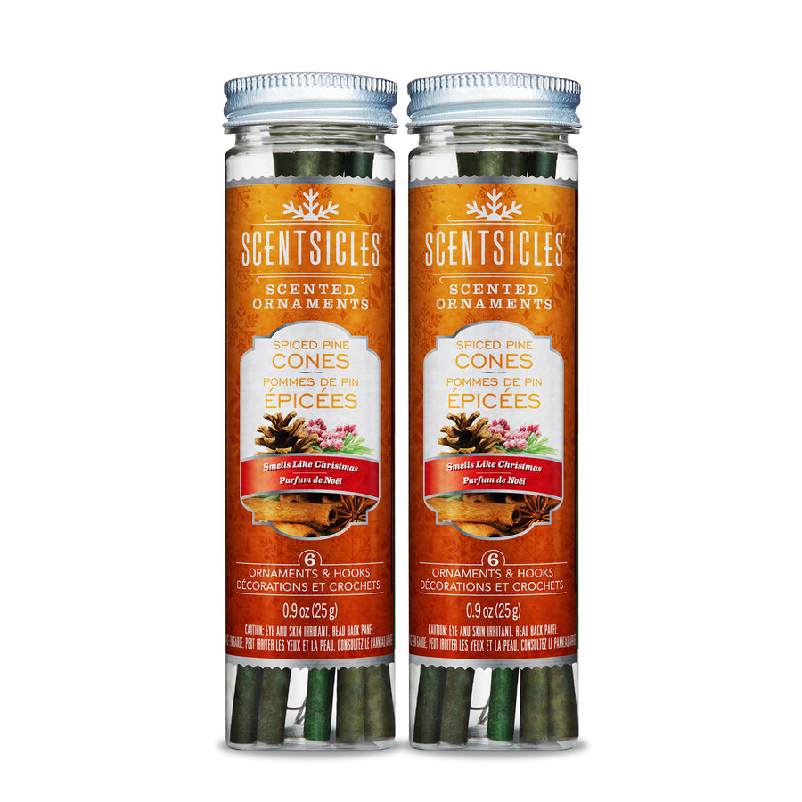 Scented Ornaments, 2-Pack-  6ct Bottle, Spiced Pine Cones, Fragrance-Infused Paper Sticks