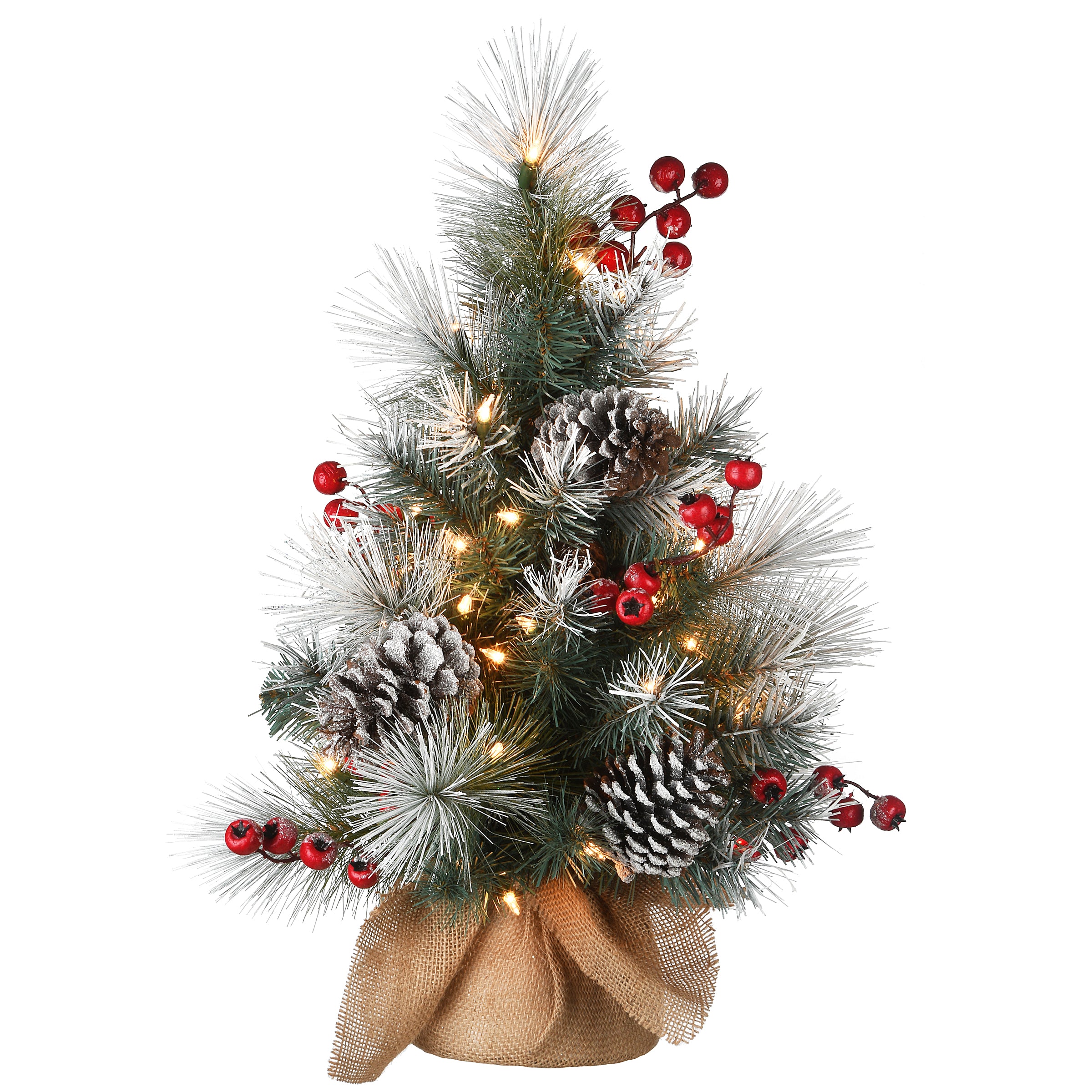 2 ft. Snowy Glacier Pine Tree with Warm White LED Lights