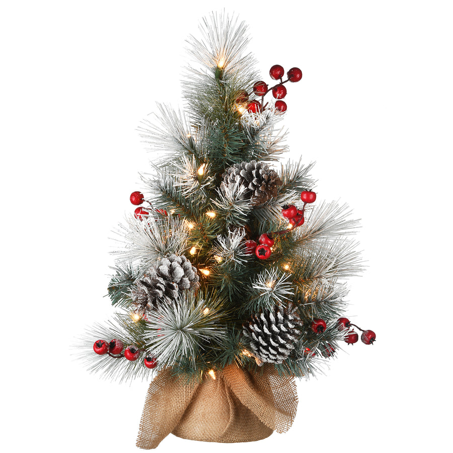 2 ft. Snowy Glacier Pine Tree with Warm White LED Lights
