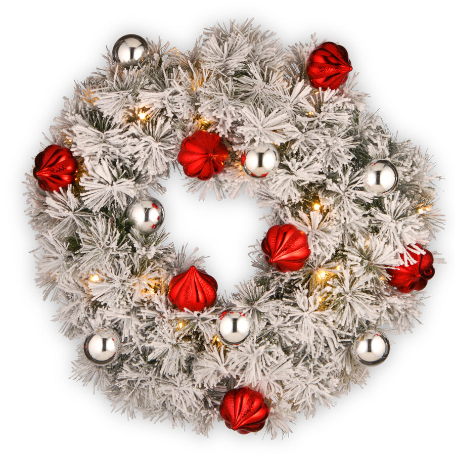 24 in. Pre-Lit Snowy Bristle Pine Wreath with LED Lights