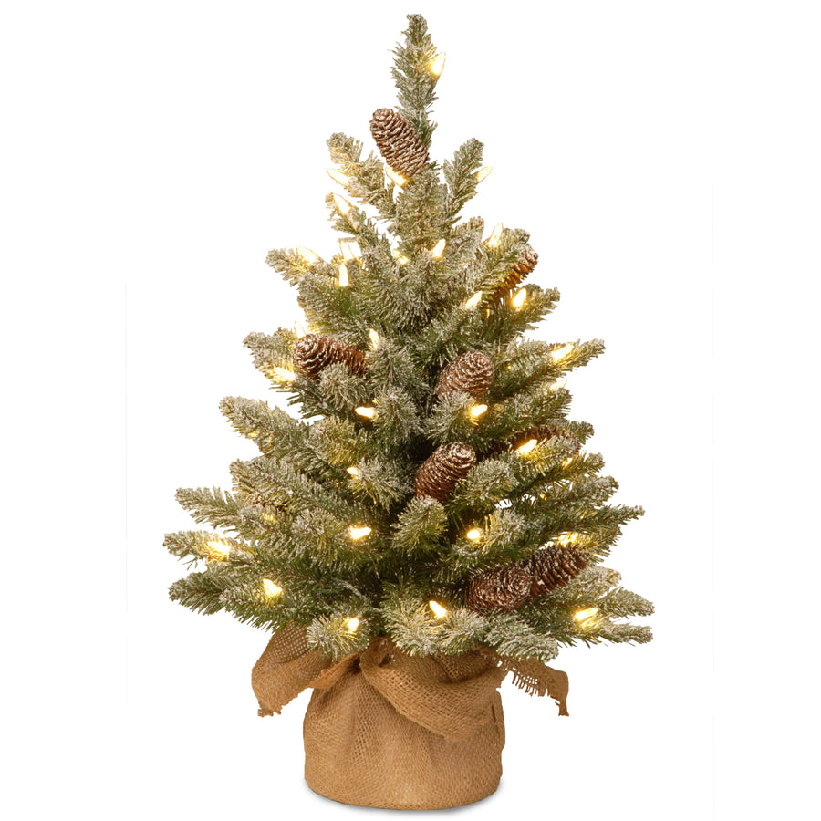 2 ft. Pre-Lit Snowy Concolor Fir Tree with LED Lights