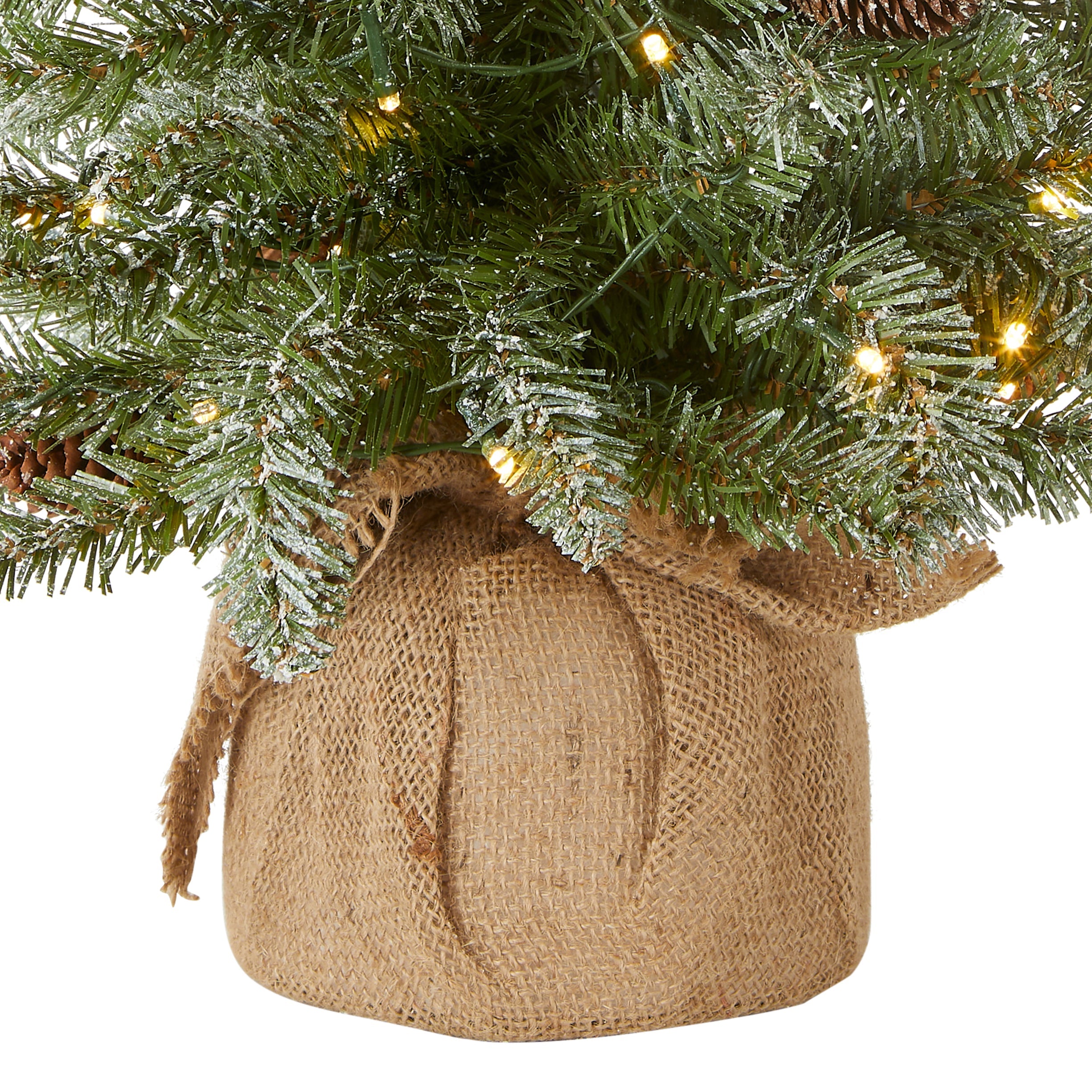 2 ft. Pre-Lit Snowy Concolor Fir Tree with LED Lights