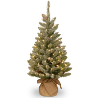 3 ft. Pre-Lit Snowy Concolor Fir Tree with LED Lights