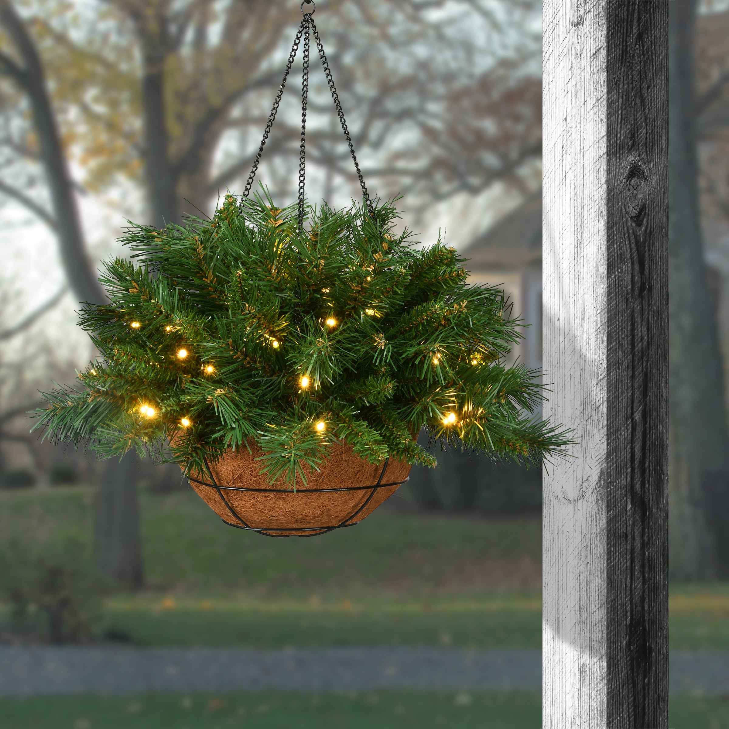 20 in. Pre-Lit Tiffany Fir Hanging Basket with Warm White LED Lights