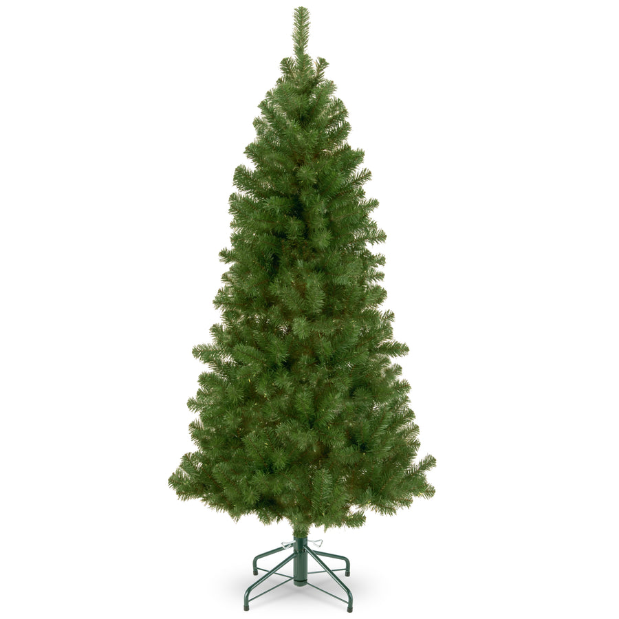 6.5 ft. Canadian Grande Fir Tree
