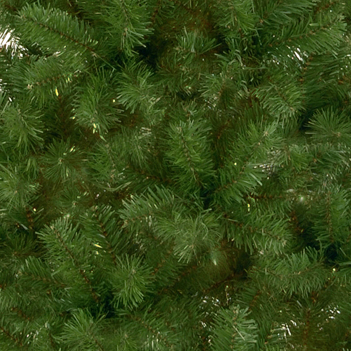 7.5 ft. Canadian Fir Tree