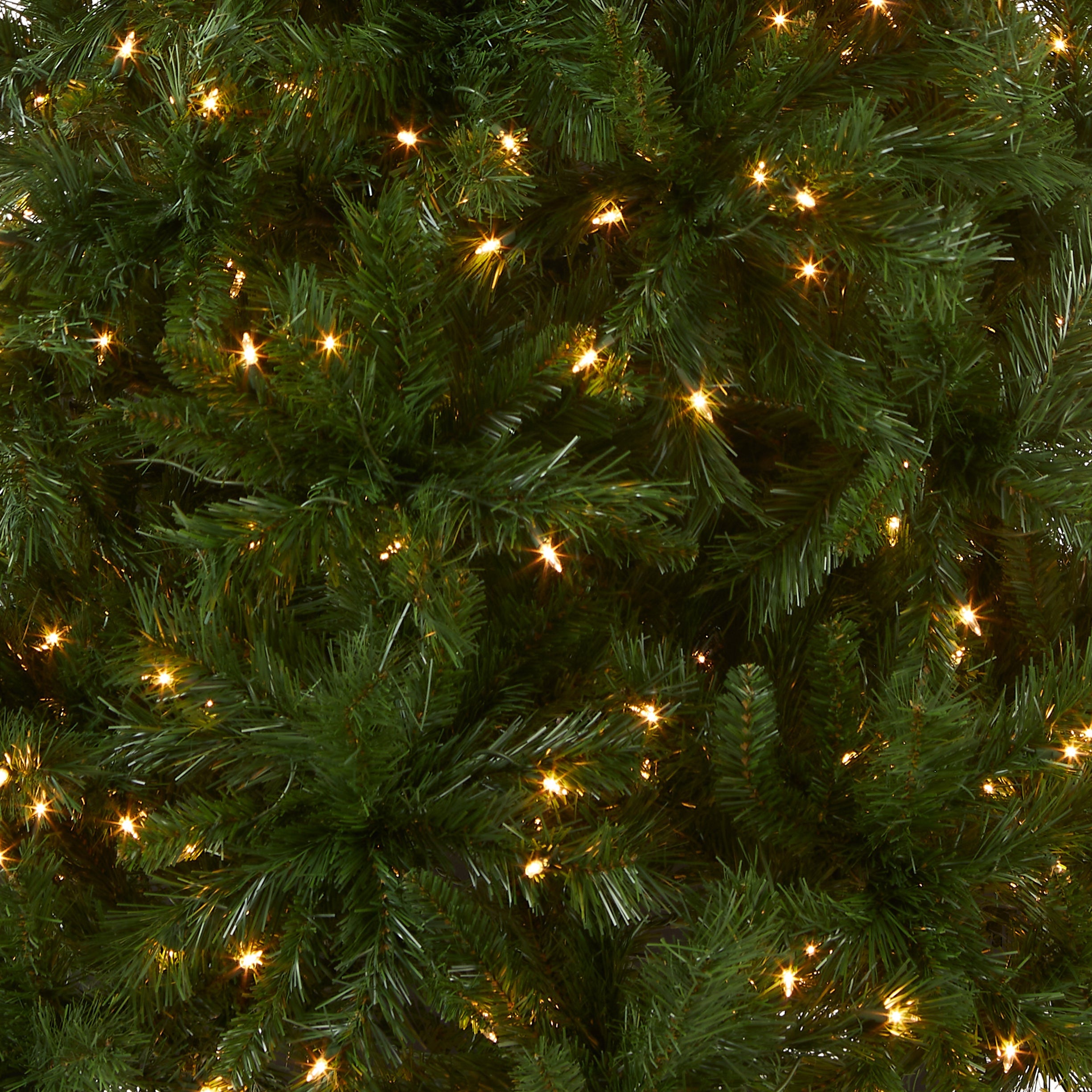 6.5 ft. Pre-Lit Winchester Pine Tree with Clear Lights
