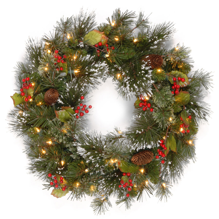 24 in. Pre-Lit Wintry Pine Wreath with Clear Lights