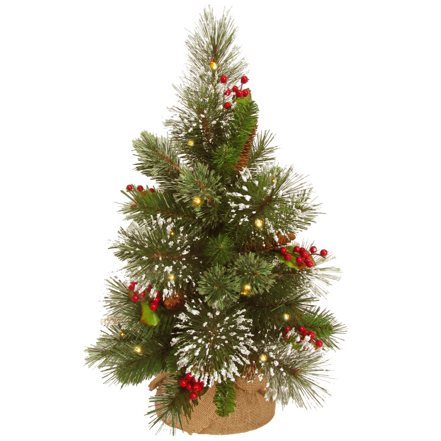 18 in. Pre-Lit  Wintry Pine Tree with Warm White LED Lights