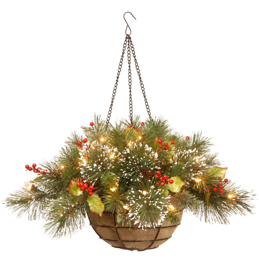 20 in. Pre-Lit Wintry Pine Hanging Basket with Warm White LED Lights