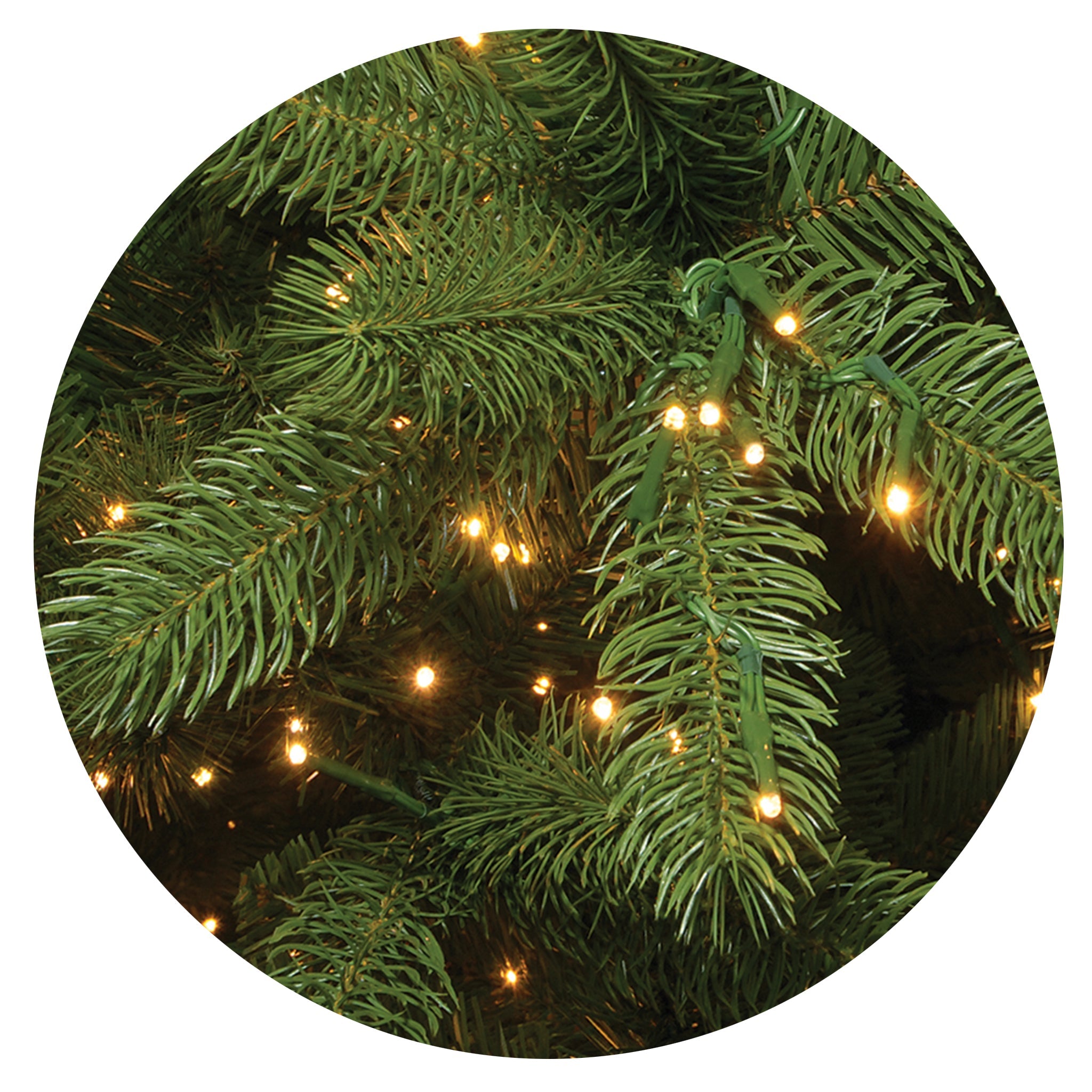 7.5 ft. Pre-Lit Downswept Douglas Fir Tree with Dual Color LED Cosmic Lights