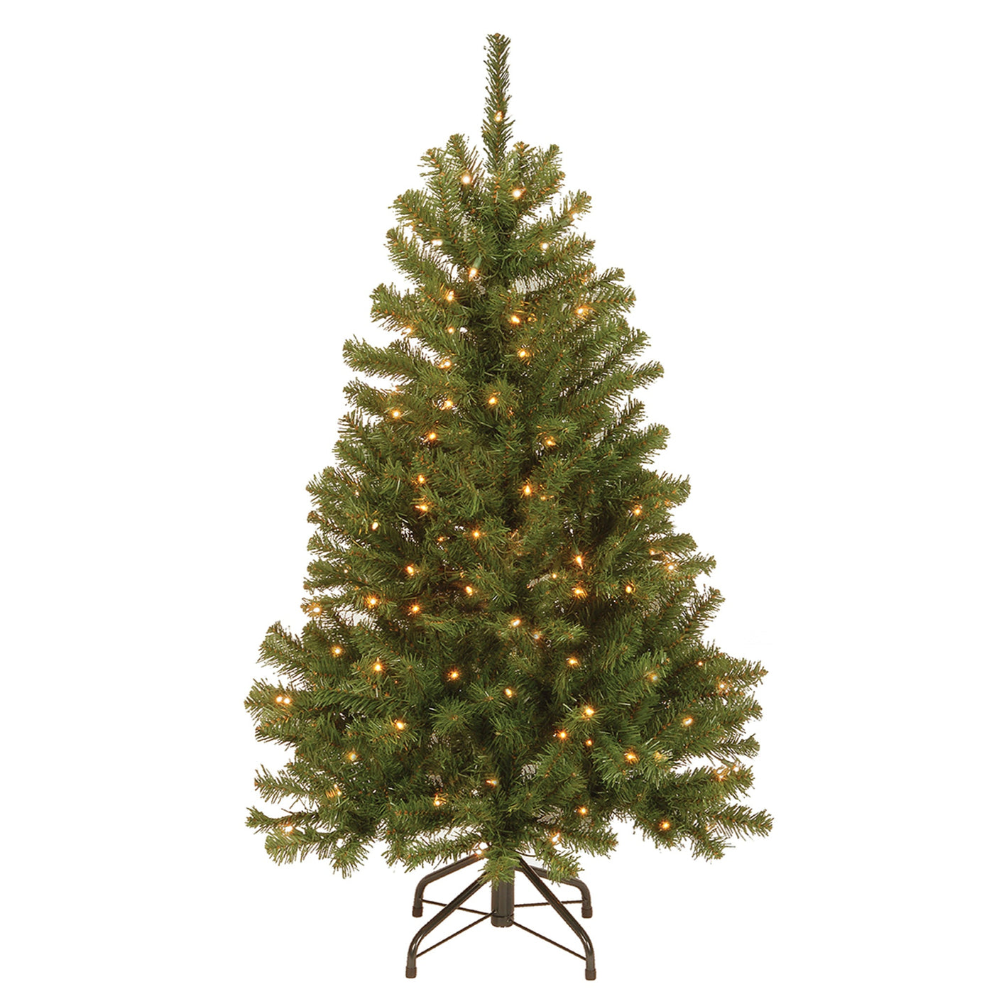 North Valley Spruce Trees