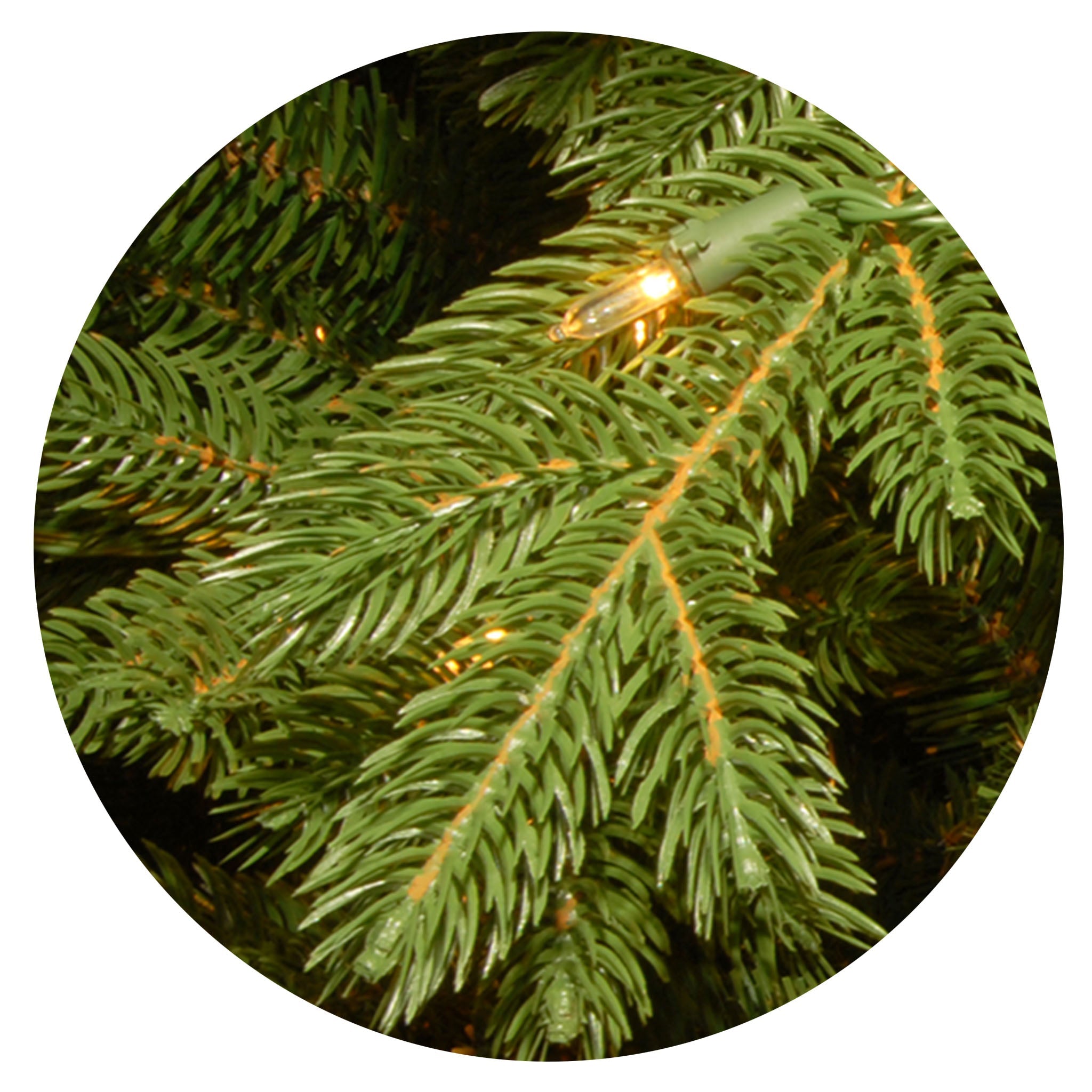 7.5 ft. Pre-Lit Princeton Fraser Fir Tree with PowerConnect and 1000 Dual Color LED Lights