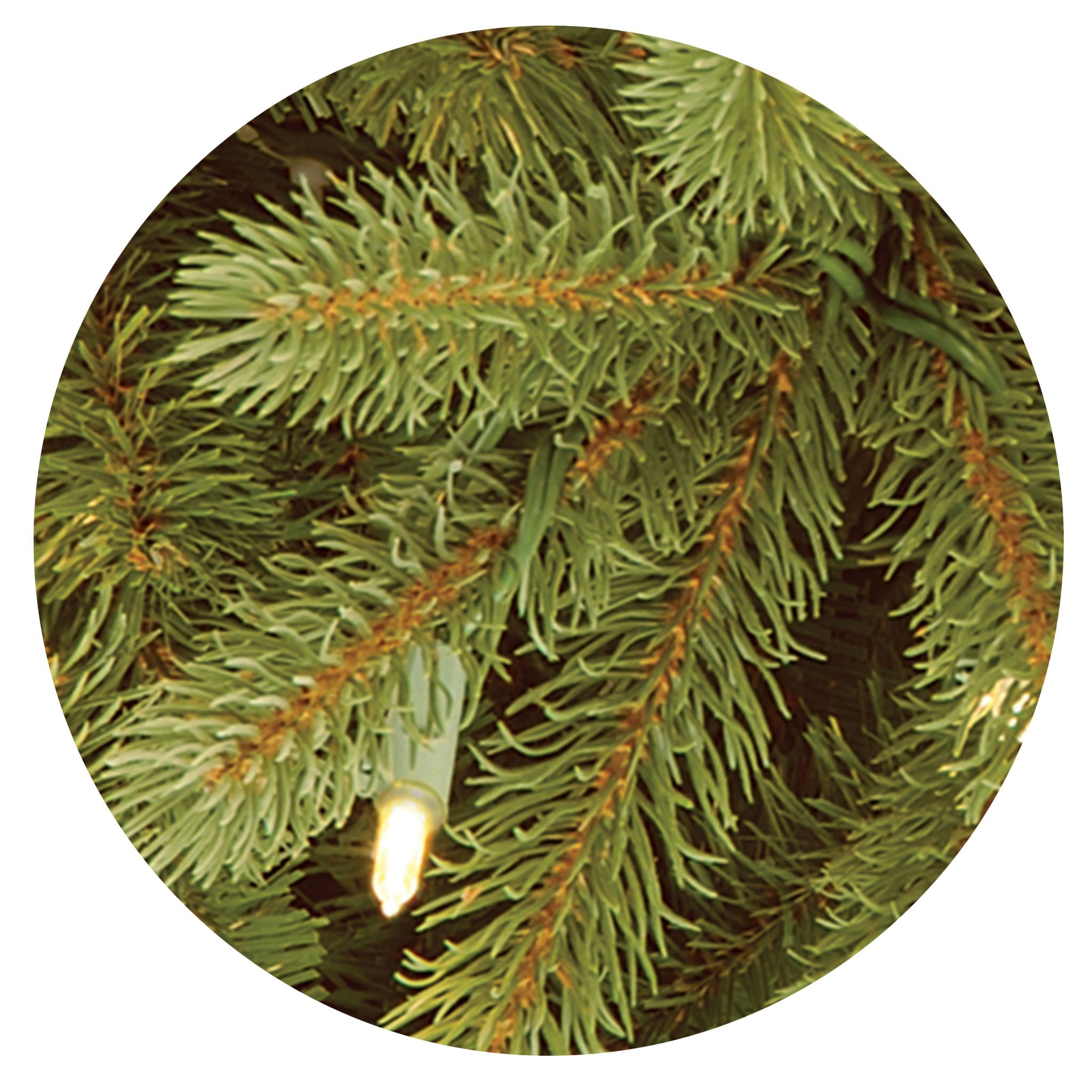 7.5 ft. Pre-Lit Jersey Fraser Fir Slim Tree with Clear Lights
