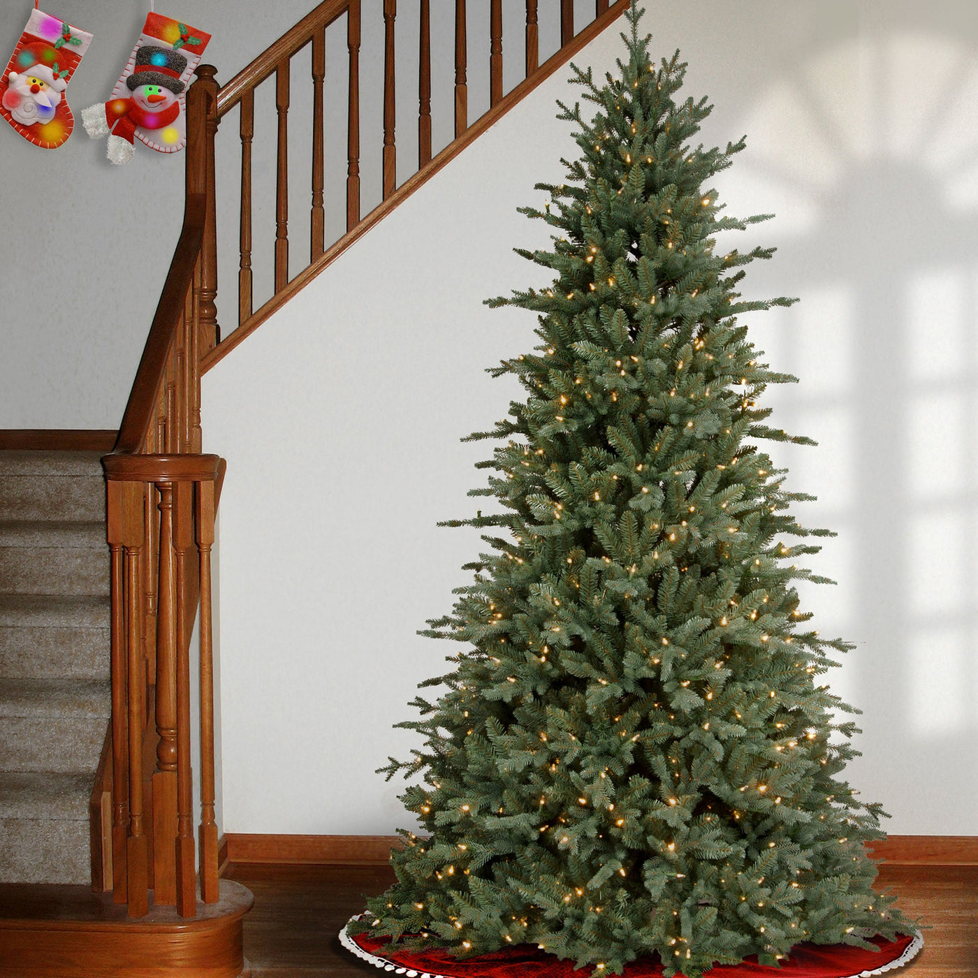 7.5 ft. Pre-Lit Buckingham Blue Spruce Tree with Clear Lights