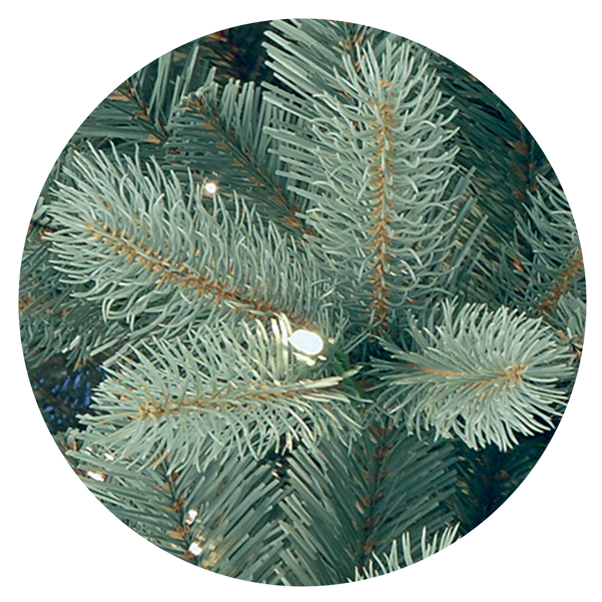 7.5 ft. Pre-Lit Downswept Douglas Blue Fir Tree with Clear Lights
