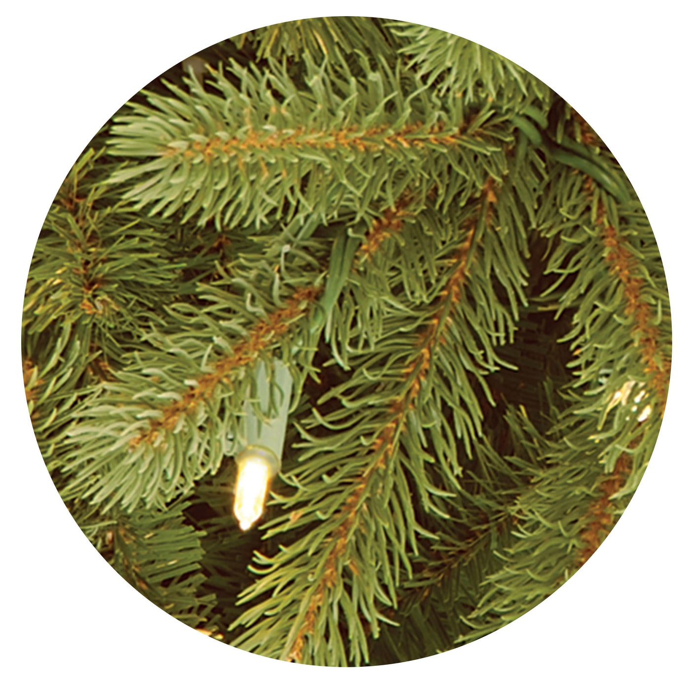 7.5 ft. Pre-Lit Jersey Fraser Fir Tree with Clear Lights