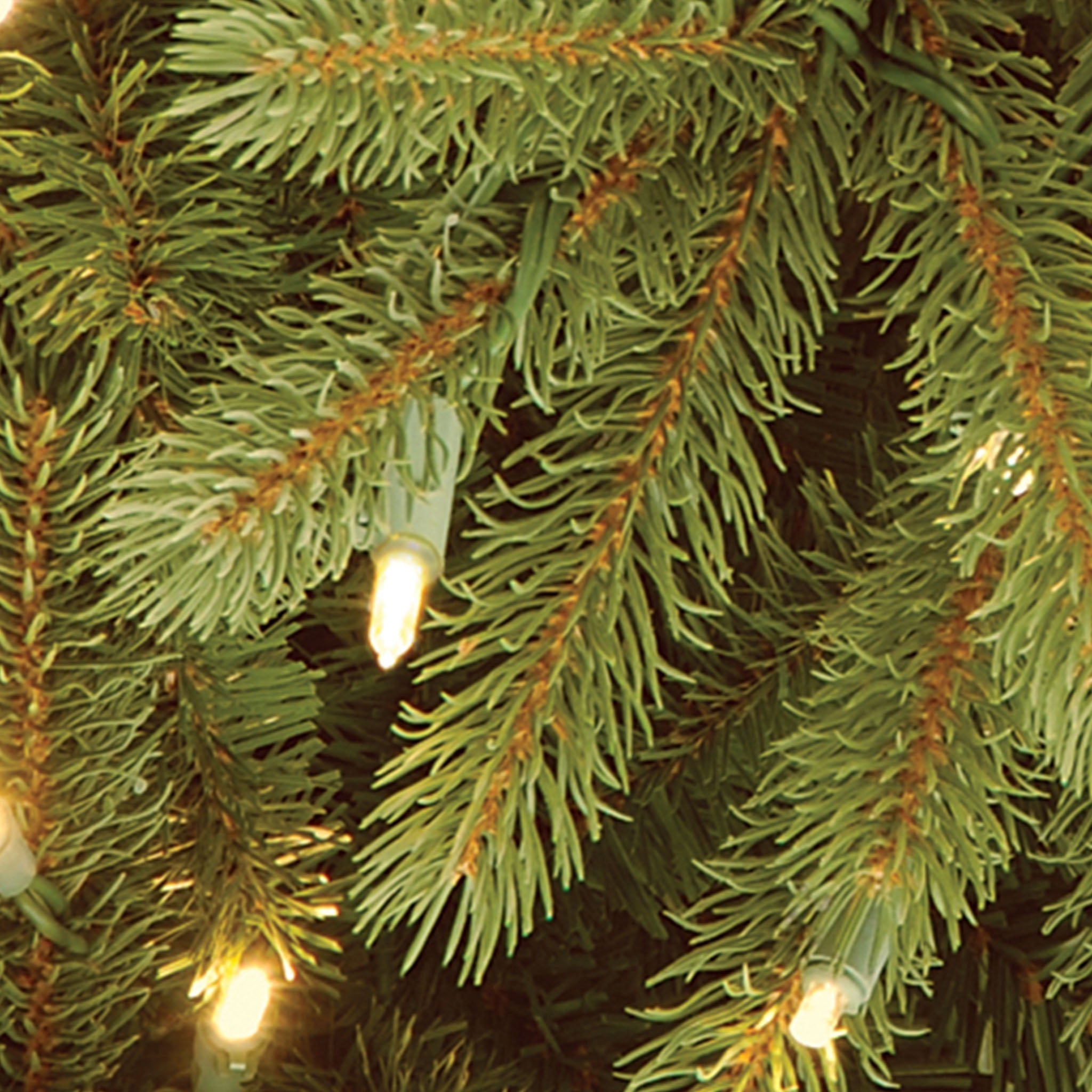 4 ft. Pre-Lit Jersey Fraser Fir Tree with Clear Lights