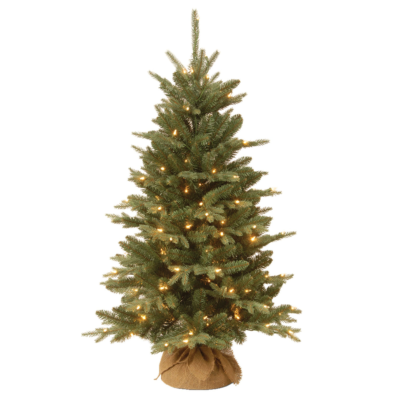 4 ft. Pre-Lit Everyday Collection Tree with Clear Lights