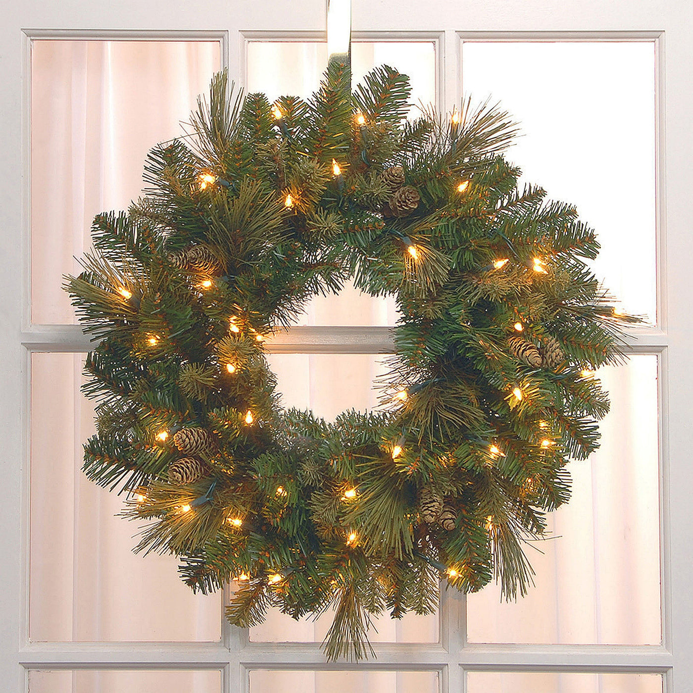 24 in. Pre-Lit Carolina Pine Wreath with Clear Lights