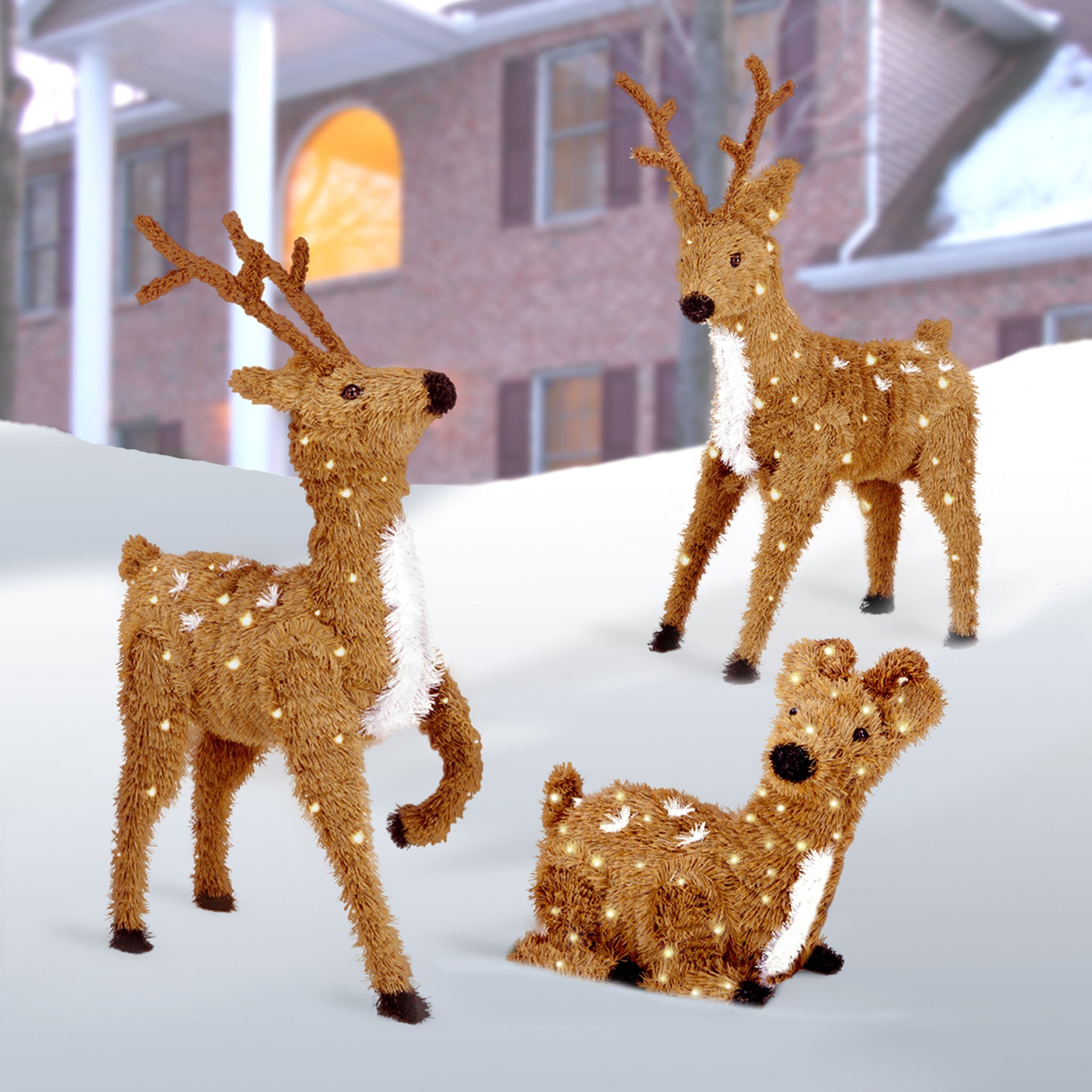 36 in. Standing Reindeer with Clear Lights